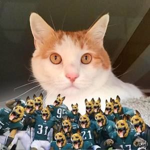 Meet your Posher, Mariette